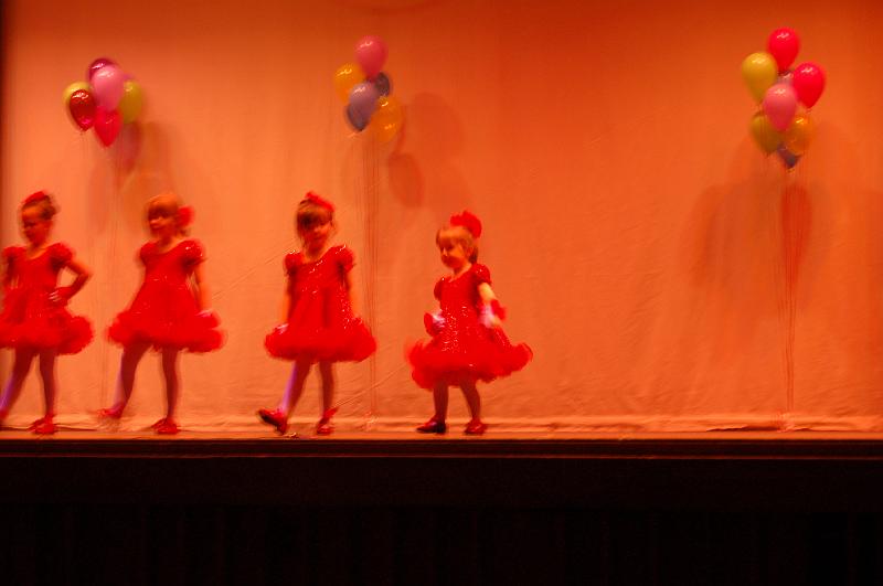 Picture 6638.jpg - (C)Gregg J. Dinino